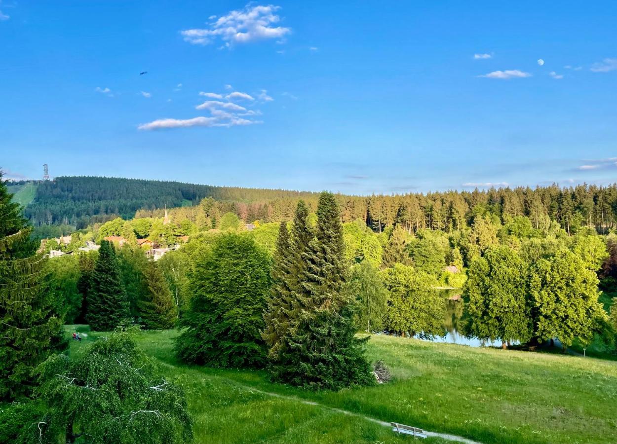 Ferienwohnung Harzurlaub Гослар Экстерьер фото